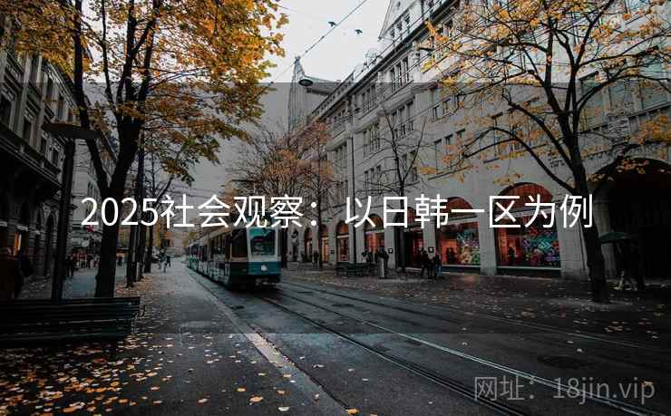 2025社会观察：以日韩一区为例