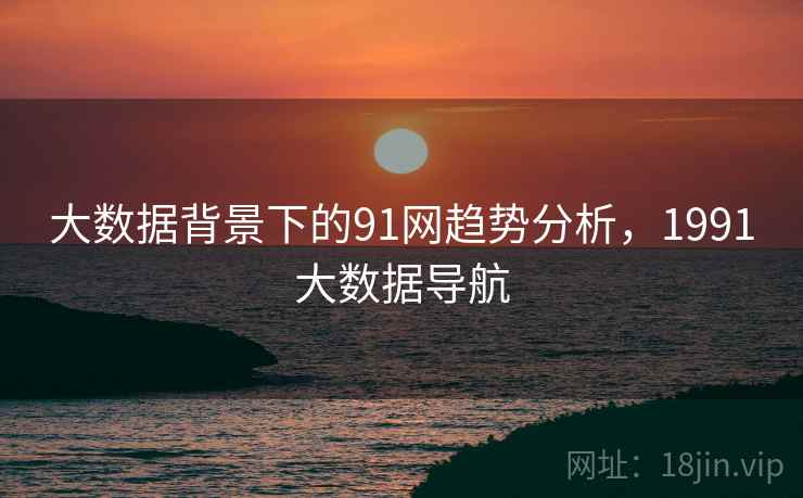 大数据背景下的91网趋势分析，1991大数据导航
