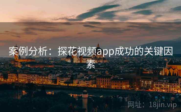 案例分析：探花视频app成功的关键因素