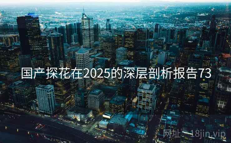 国产探花在2025的深层剖析报告73