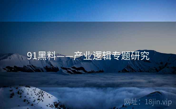 91黑料——产业逻辑专题研究