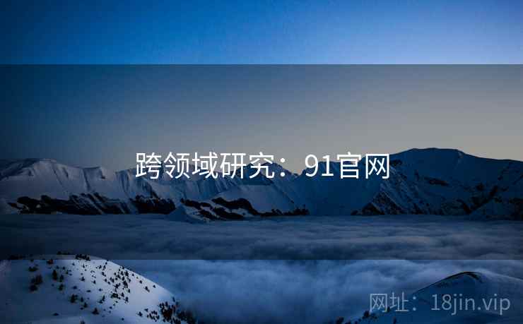 跨领域研究：91官网