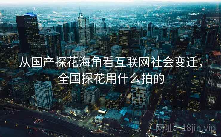 从国产探花海角看互联网社会变迁，全国探花用什么拍的