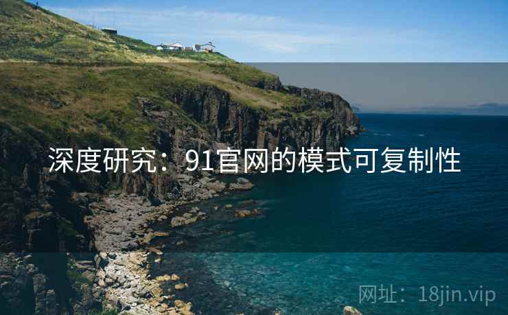 深度研究：91官网的模式可复制性