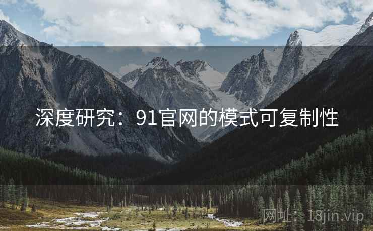 深度研究：91官网的模式可复制性