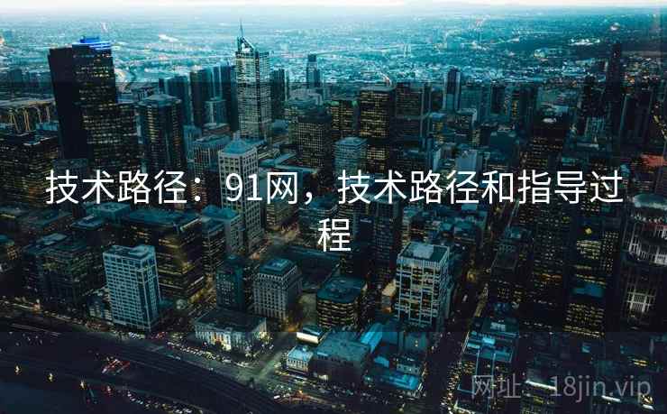 技术路径：91网，技术路径和指导过程