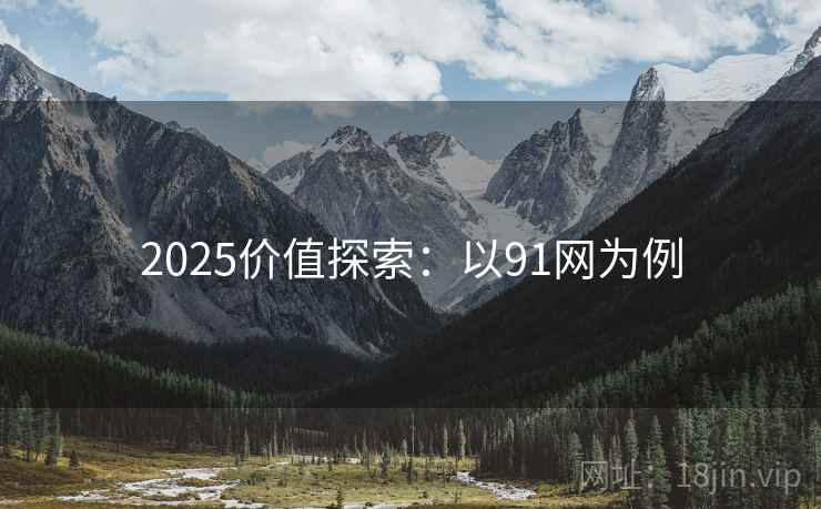 2025价值探索:以91网为例 2025价值探索:以91网为例