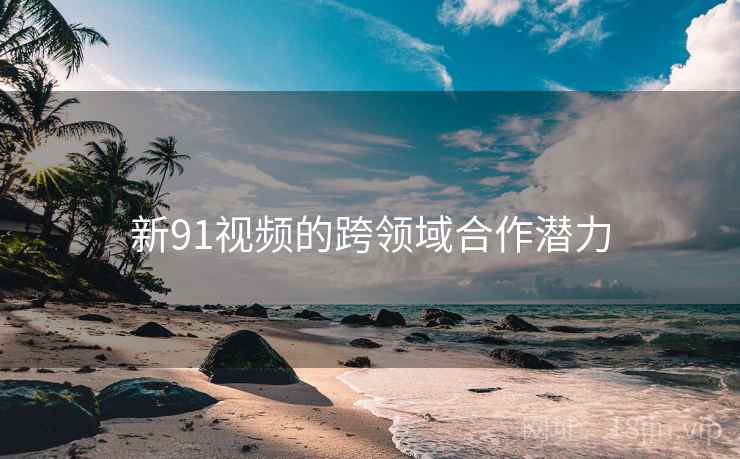 新91视频的跨领域合作潜力