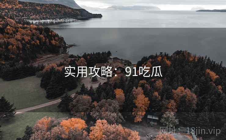 实用攻略：91吃瓜