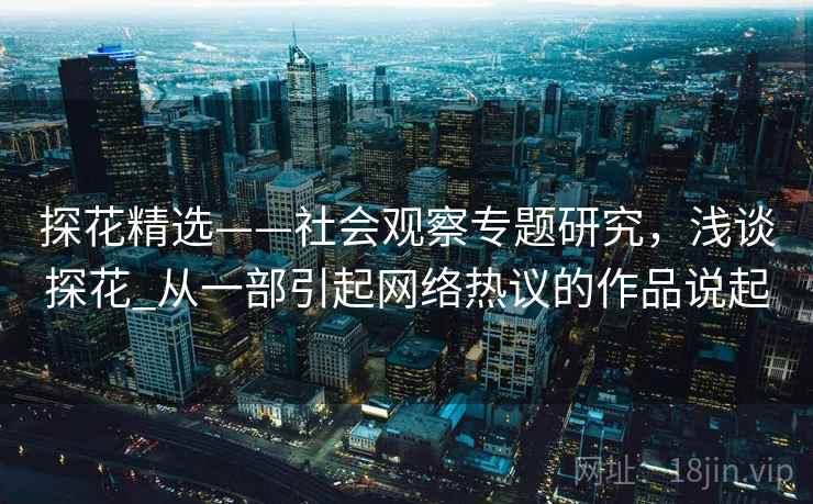 探花精选——社会观察专题研究，浅谈探花_从一部引起网络热议的作品说起