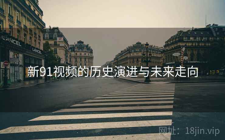 新91视频的历史演进与未来走向
