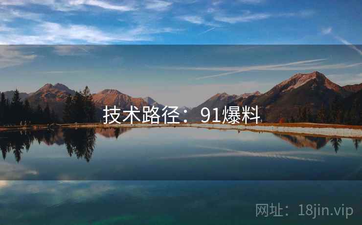 技术路径：91爆料