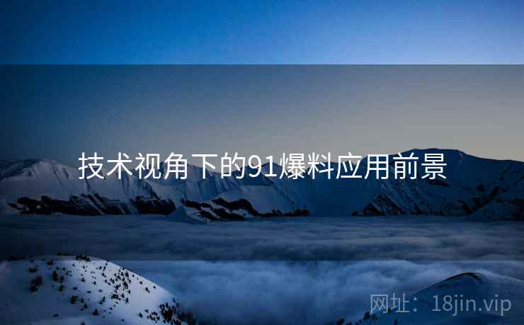 技术视角下的91爆料应用前景