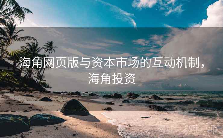 海角网页版与资本市场的互动机制，海角投资